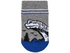 5 paar jongens sneakersokken