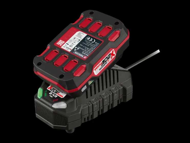 Accu-compressor en -luchtpomp 20 V met accu en lader