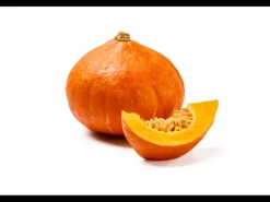 Bio flespompoen of hokkaido pompoen