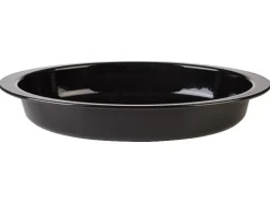 Braad- en ovenschaal