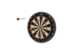 Dartbord