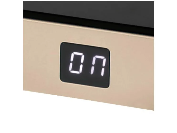 Draagbare dubbele kookplaat Iridea