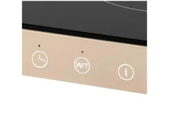 Draagbare dubbele kookplaat Iridea