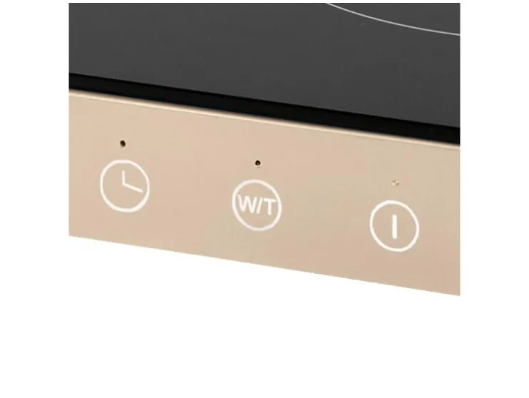 Draagbare dubbele kookplaat Iridea