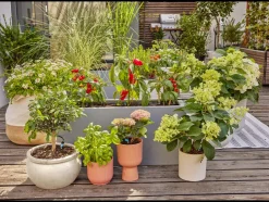 Druppelirrigatie voor de tuin Micro-Drip-System