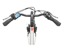 E-bike City multitalent RC845 wit 28"
