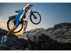 Elektrische fiets C3T Trekking