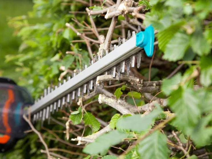 Elektrische heggenschaar PowerCut 700/65