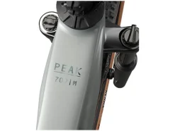 Elektrische mountainbike PEAK 709