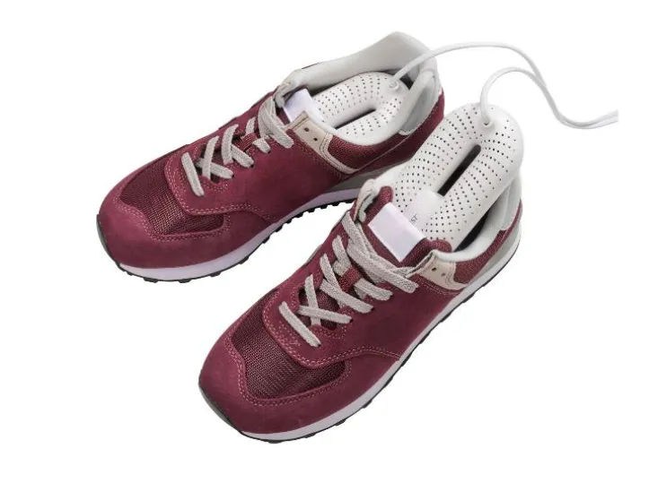 Elektrische schoenendroger