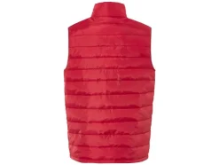 Heren bodywarmer