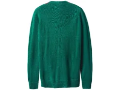 Heren kersttrui met lampjes