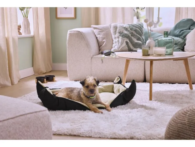 Honden rollijn met LED