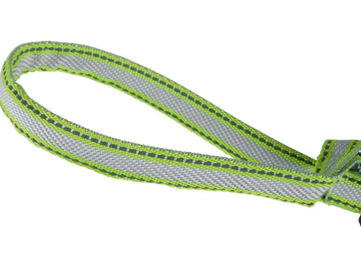 Honden rollijn met LED