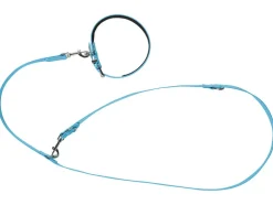 Hondenhalsband en -lijn