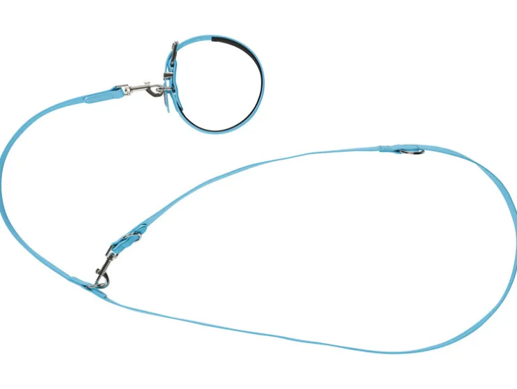 Hondenhalsband en -lijn