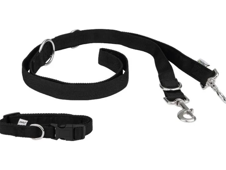 Hondenriem met halsband of hondenriem