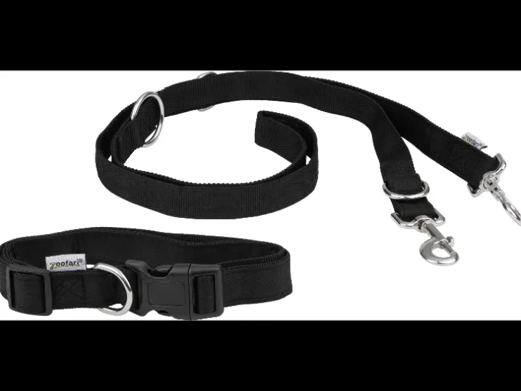 Hondenriem met halsband of hondenriem