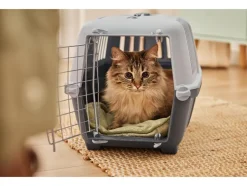 Kattenbak of transportbox