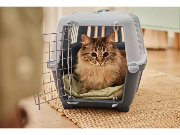 Kattenbak of transportbox