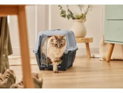 Kattenbak of transportbox