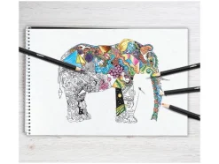 Kleurpotloden of aquarelpotloden