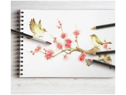 Kleurpotloden of aquarelpotloden