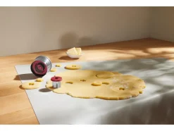 Koekjes uitsteekvormen of stempels