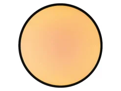 LED-plafondlamp met kleurregeling