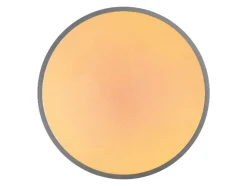 LED-plafondlamp met kleurregeling