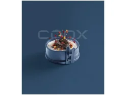 Mini springvorm met glazen bodem Ø 12