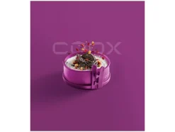 Mini springvorm met glazen bodem Ø 12