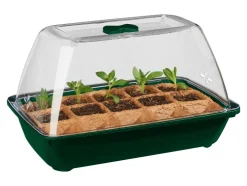 Mini-kas met biologisch zaad