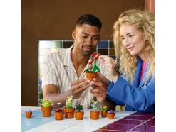 Miniplantjes - 10329