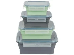 Opvouwbare vershoudbakjes of lunchbox