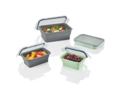 Opvouwbare vershoudbakjes of lunchbox