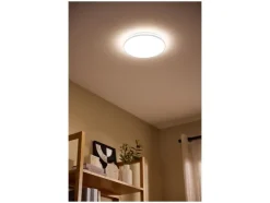 Plafondlamp
