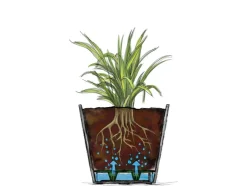 Plantenbak GROOVE PLUS