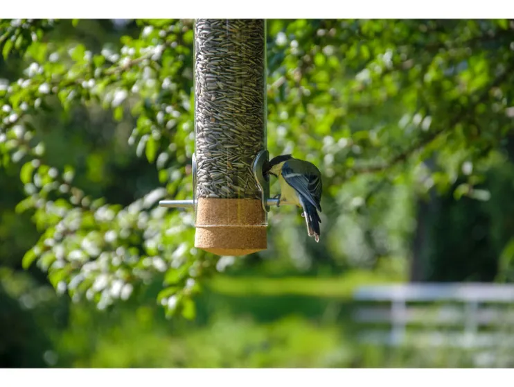 Premium vogel voederbak