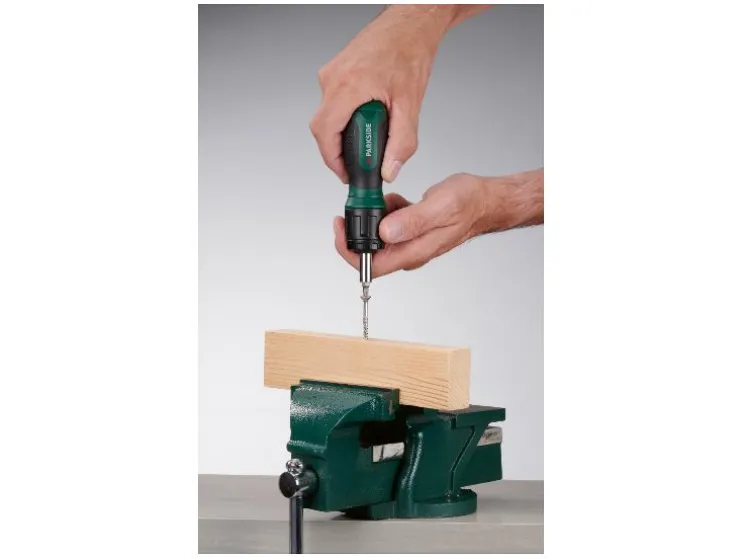 Ratelschroevendraaier met bits