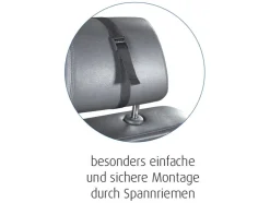 Reer Veiligheidsspiegel