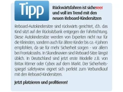 Reer Veiligheidsspiegel