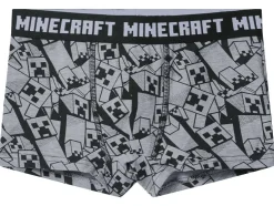 Set van 2 kinder boxers