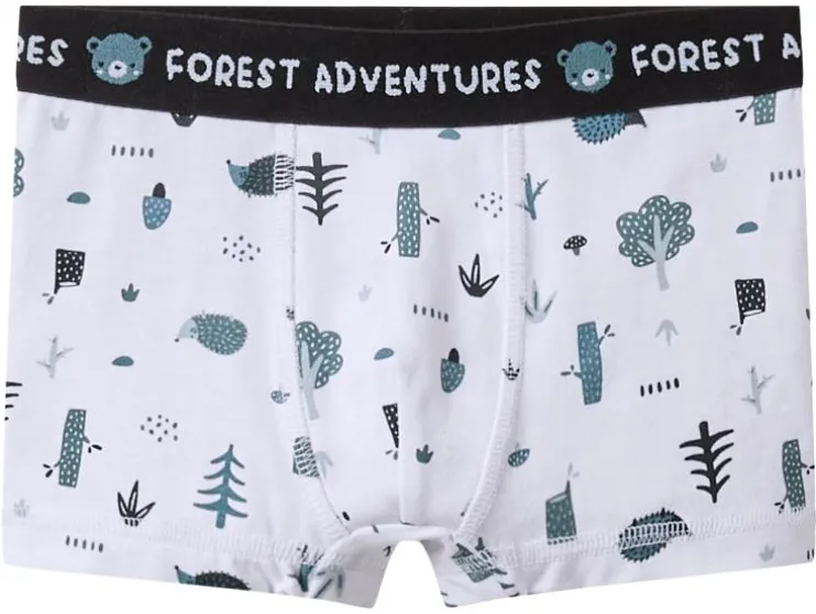 Set van 5 kinder boxers