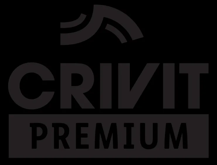 Skibril met meekleurende glazen Premium