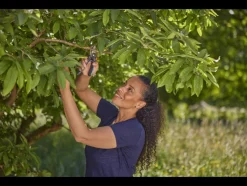 Snoeischaar PremiumCut