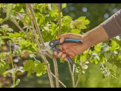 Snoeischaar PremiumCut