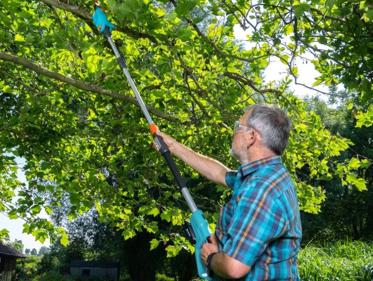 Telescopische accu-takkenzaag TCS 20/18V P4A