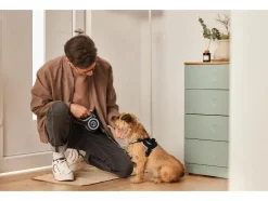 Uittrekbare hondenriem 5 m