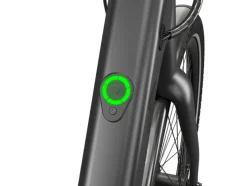 Urban E-bike All Black 2.0 X riemaandrijving